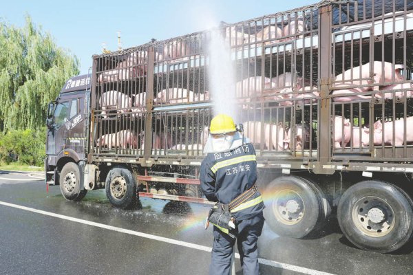 专业配资查询门户 神农集团一季度归母净利润2.29亿元，同比大增65倍：养猪从“卷”成本变为“卷”价值