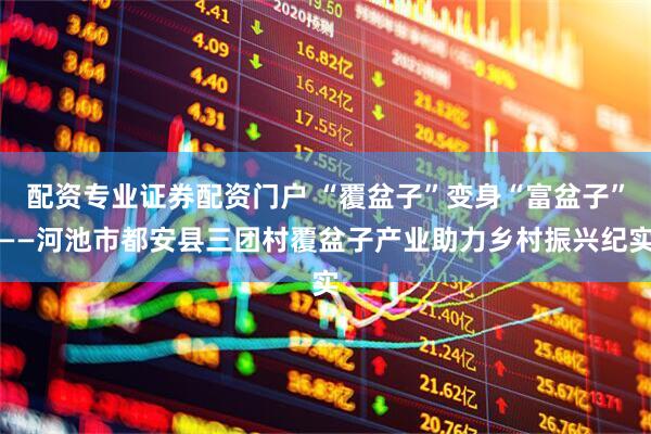 配资专业证券配资门户 “覆盆子”变身“富盆子”——河池市都安县三团村覆盆子产业助力乡村振兴纪实