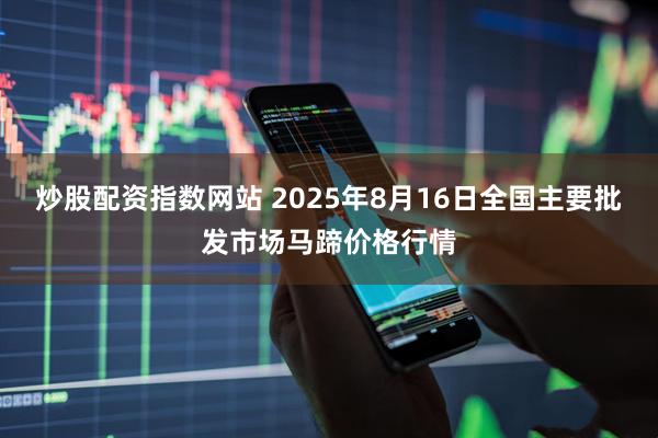 炒股配资指数网站 2025年8月16日全国主要批发市场马蹄价格行情